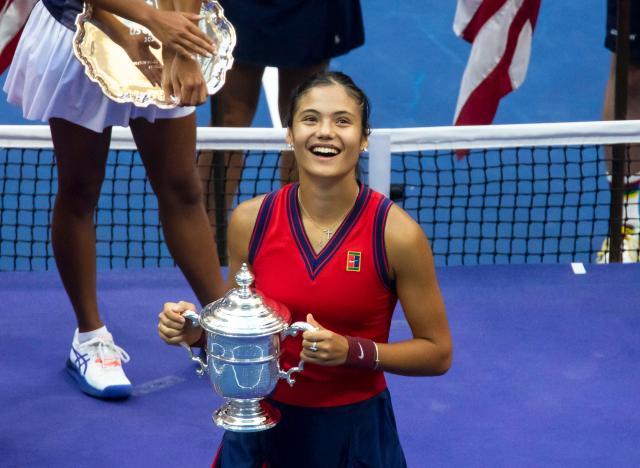 张新军延续 张新军延续