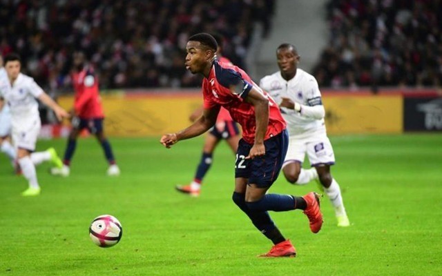 不得不权衡 不得不权衡